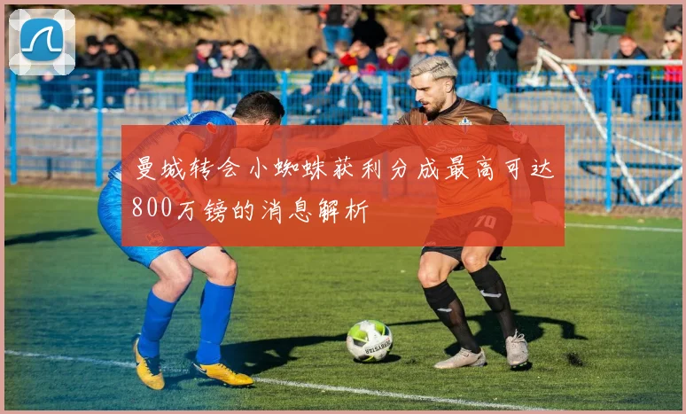 曼城转会小蜘蛛获利分成最高可达800万镑的消息解析